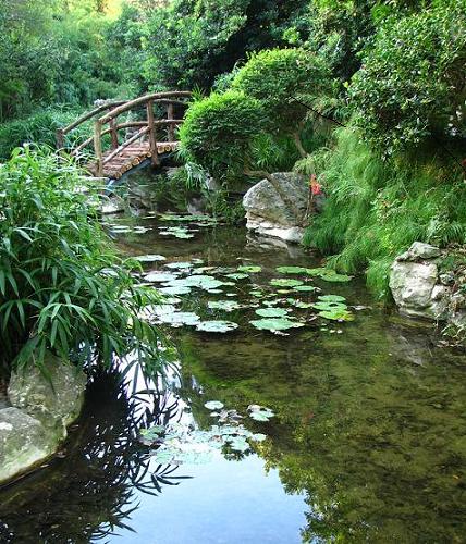 Zilker Botanical Garden: Isamu Taniguchi Japanese Garden